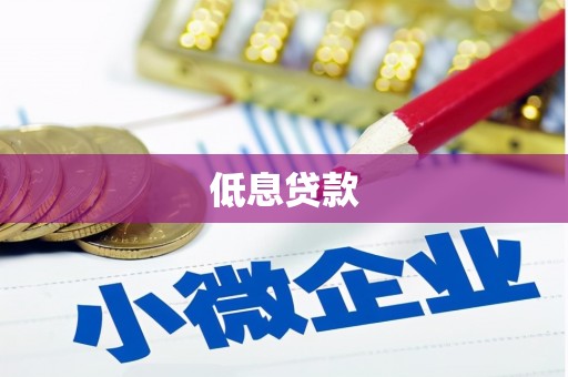 宁明低息贷款