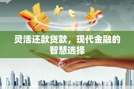 宁明灵活还款贷款，现代金融的智慧选择
