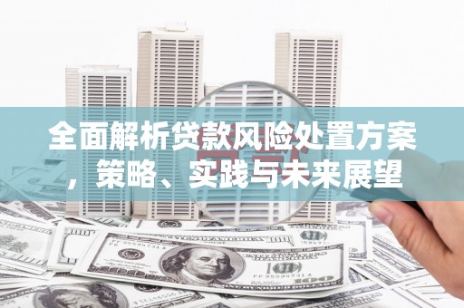 宁明全面解析贷款风险处置方案，策略、实践与未来展望