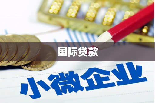 宁明国际贷款