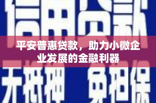 宁明平安普惠贷款，助力小微企业发展的金融利器