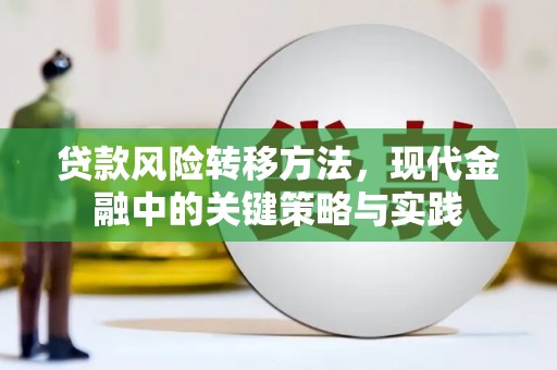 宁明贷款风险转移方法，现代金融中的关键策略与实践