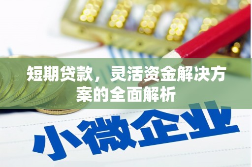 宁明短期贷款，灵活资金解决方案的全面解析