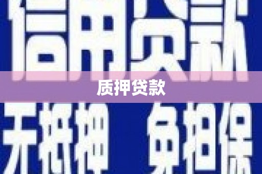 宁明质押贷款
