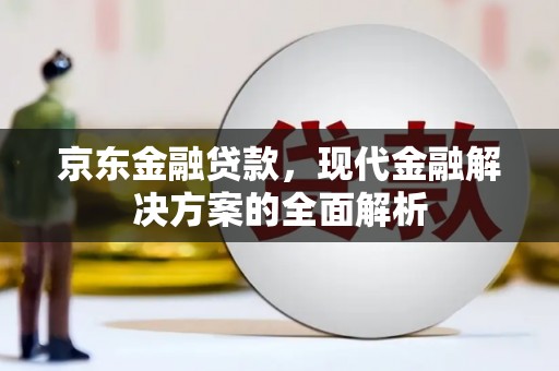 宁明京东金融贷款，现代金融解决方案的全面解析