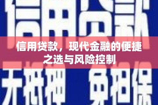 宁明信用贷款，现代金融的便捷之选与风险控制