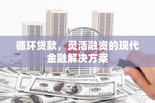 宁明循环贷款，灵活融资的现代金融解决方案