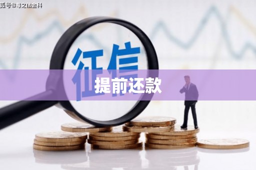 宁明提前还款