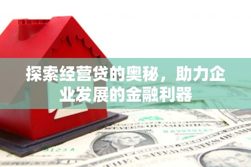 宁明探索经营贷的奥秘，助力企业发展的金融利器