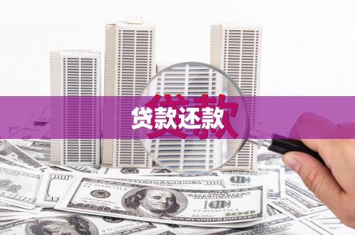 宁明贷款还款