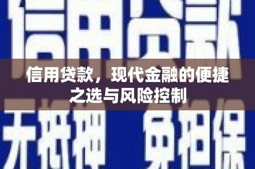 宁明信用贷款，现代金融的便捷之选与风险控制