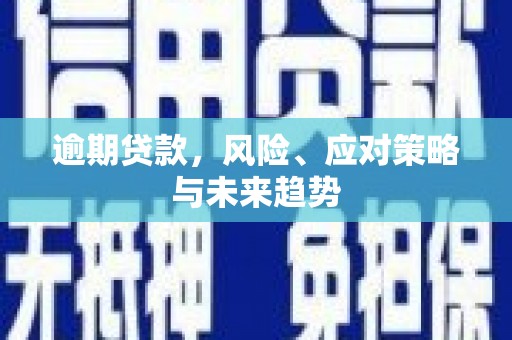 宁明逾期贷款，风险、应对策略与未来趋势