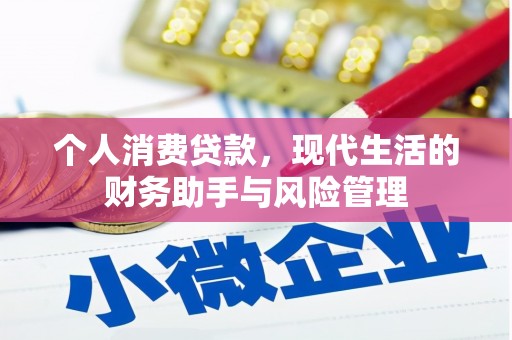 宁明个人消费贷款，现代生活的财务助手与风险管理