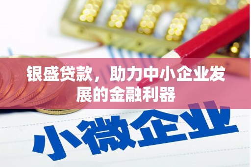 宁明银盛贷款，助力中小企业发展的金融利器