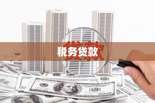 宁明税务贷款