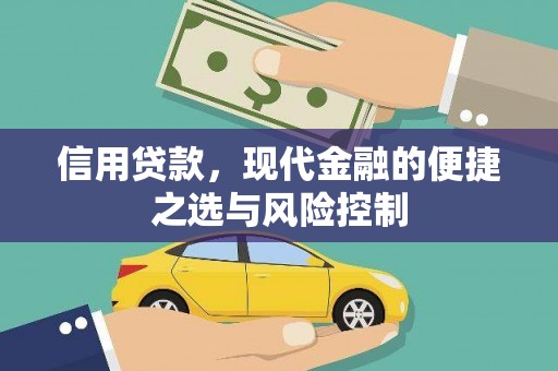 宁明信用贷款，现代金融的便捷之选与风险控制