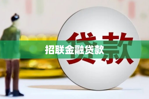 宁明招联金融贷款