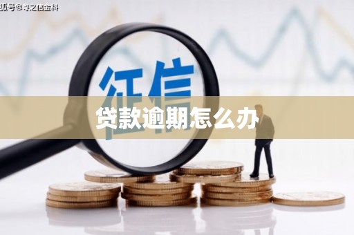 宁明贷款逾期怎么办