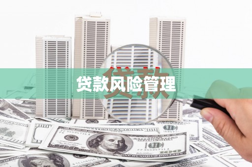宁明贷款风险管理
