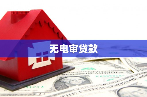 宁明无电审贷款