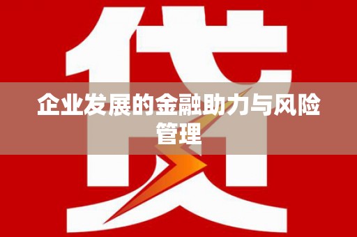 宁明企业发展的金融助力与风险管理
