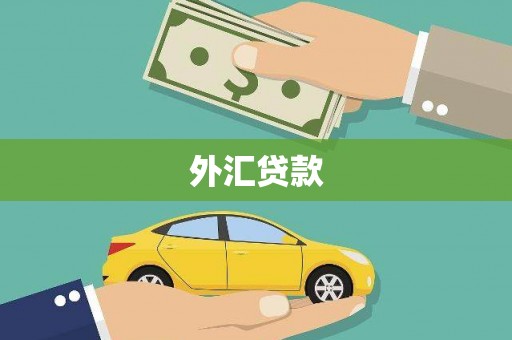 宁明外汇贷款