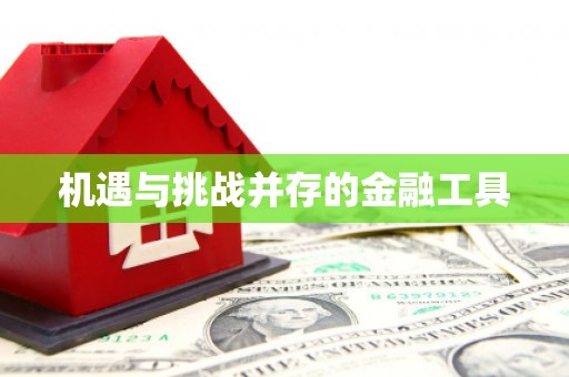 宁明机遇与挑战并存的金融工具
