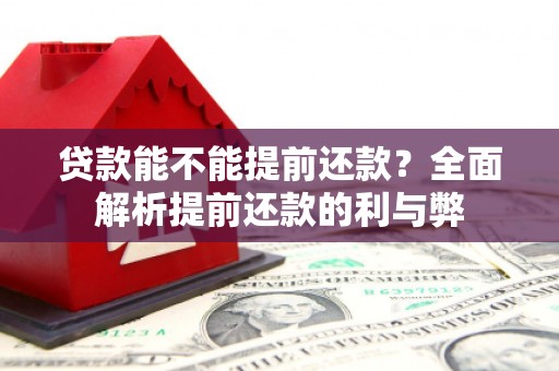 宁明贷款能不能提前还款？全面解析提前还款的利与弊