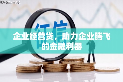 宁明企业经营贷，助力企业腾飞的金融利器
