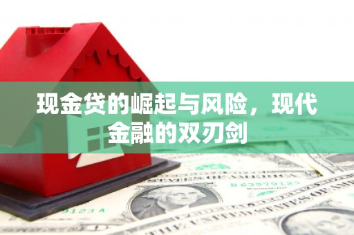 宁明现金贷的崛起与风险，现代金融的双刃剑