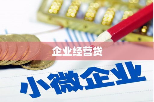 宁明企业经营贷
