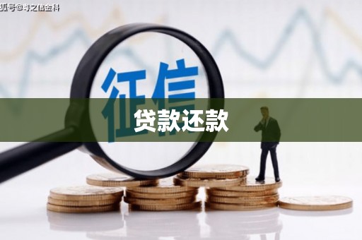 宁明贷款还款