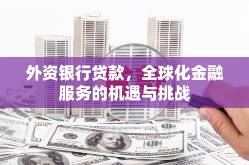 宁明外资银行贷款，全球化金融服务的机遇与挑战
