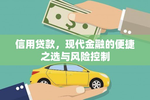宁明信用贷款，现代金融的便捷之选与风险控制