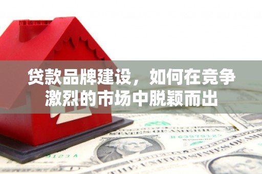 宁明贷款品牌建设，如何在竞争激烈的市场中脱颖而出