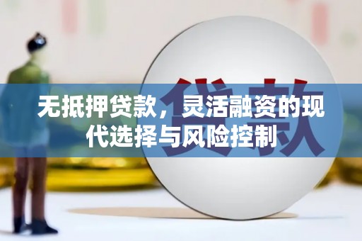 宁明无抵押贷款，灵活融资的现代选择与风险控制