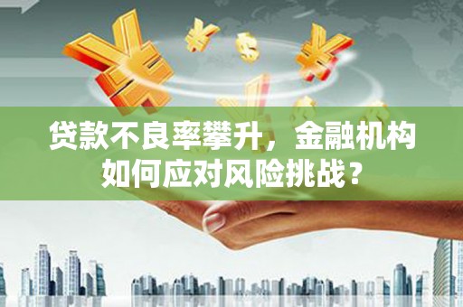 宁明贷款不良率攀升，金融机构如何应对风险挑战？