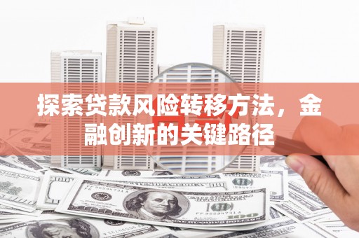 宁明探索贷款风险转移方法，金融创新的关键路径