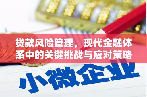 宁明贷款风险管理，现代金融体系中的关键挑战与应对策略