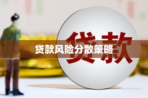 宁明贷款风险分散策略