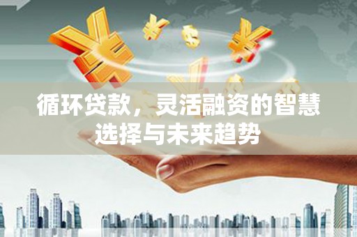 宁明循环贷款，灵活融资的智慧选择与未来趋势