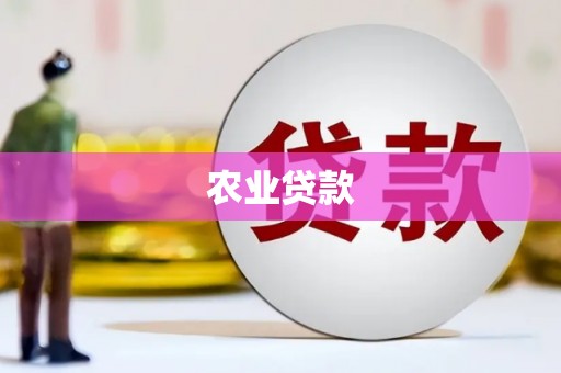 宁明农业贷款