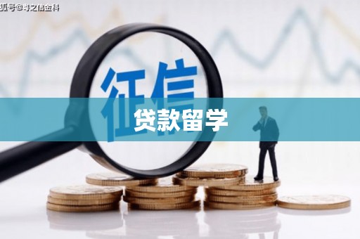宁明贷款留学
