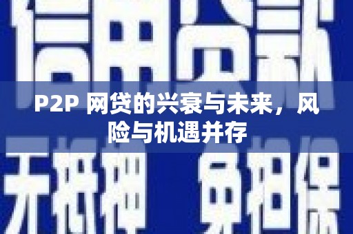 宁明P2P 网贷的兴衰与未来，风险与机遇并存