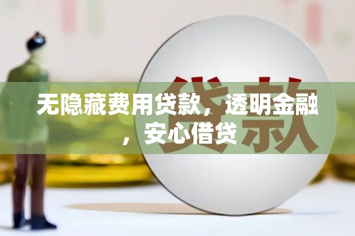 宁明无隐藏费用贷款，透明金融，安心借贷