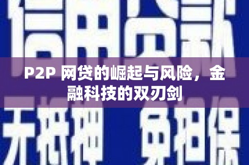 宁明P2P 网贷的崛起与风险，金融科技的双刃剑