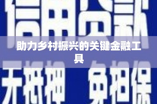 宁明助力乡村振兴的关键金融工具
