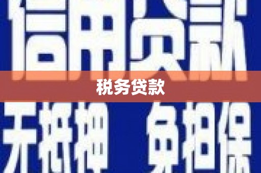 宁明税务贷款