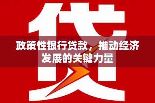 宁明政策性银行贷款，推动经济发展的关键力量