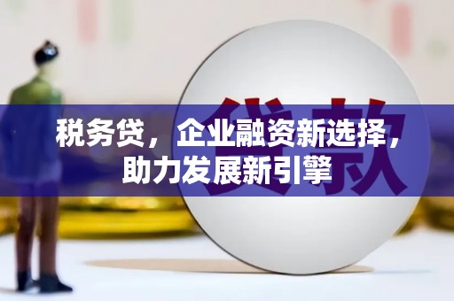 宁明税务贷，企业融资新选择，助力发展新引擎